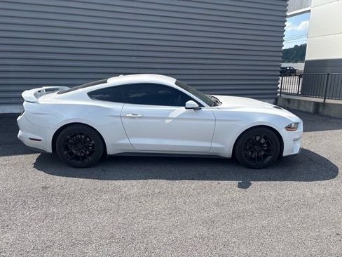 Used 2019 Ford Mustang Premium w/ Ecoboost Performance Package RWD image 5