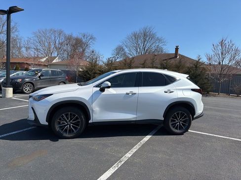 Used 2025 Lexus NX 250 AWD w/ Cold Area Package image 2