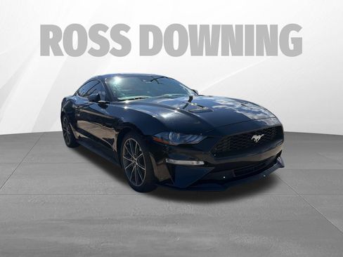 Used 2019 Ford Mustang Premium w/ Equipment Group 201A image 3
