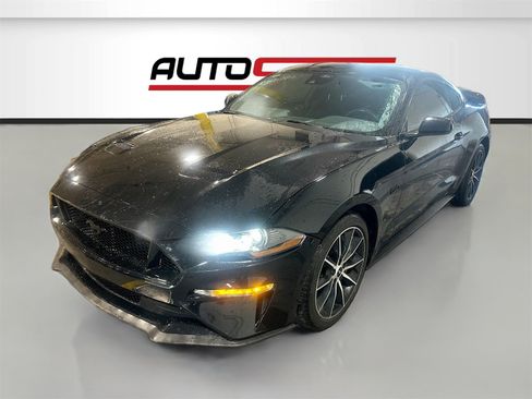Used 2023 Ford Mustang GT w/ Mustang Nite Pony Package image 3