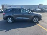 Used 2020 Ford Escape SE image 4