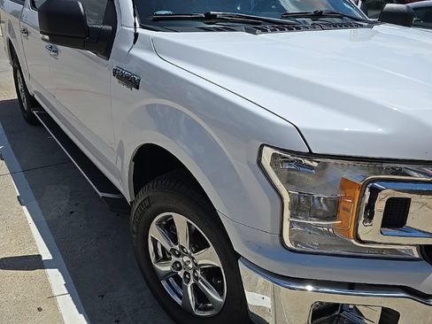 Used 2019 Ford F150 XLT w/ Equipment Group 302A Luxury RWD image 1