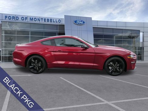 Used 2022 Ford Mustang Coupe w/ Equipment Group 101A image 2