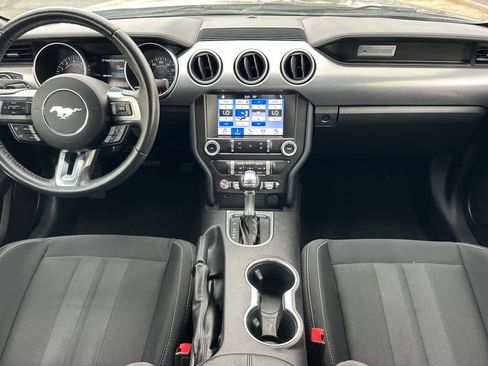 Used 2019 Ford Mustang Coupe w/ Equipment Group 101A RWD image 3