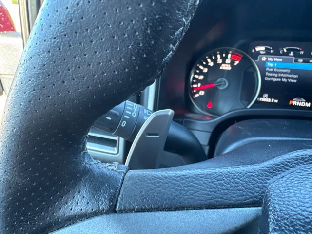Used 2020 Ford F150 Raptor w/ Equipment Group 802A Luxury AWD/4WD image 29