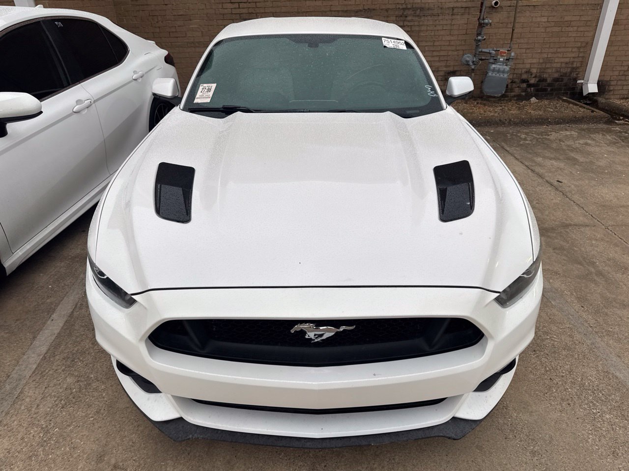 Used 2017 Ford Mustang GT Premium w/ Equipment Group 401A RWD image 3