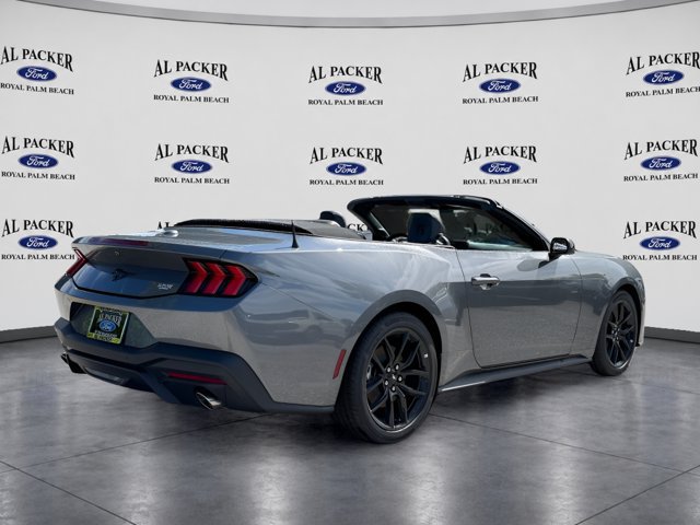 New 2026 Ford Mustang Convertible w/ Mustang Nite Pony Package RWD image 7