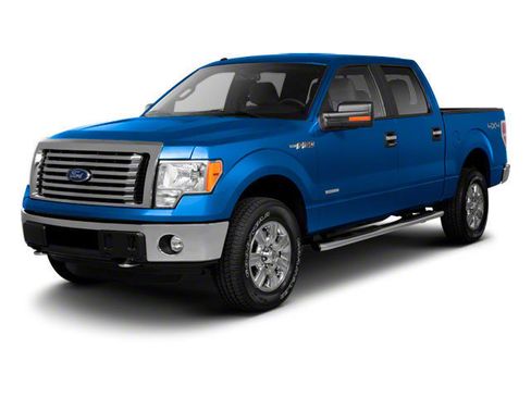 Used 2010 Ford F150 Platinum AWD/4WD image 1