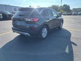 Used 2020 Ford Escape SE image 5