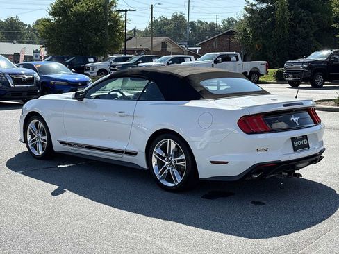 Used 2019 Ford Mustang Premium w/ Equipment Group 201A RWD image 8