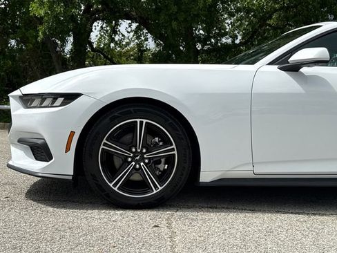 Used 2024 Ford Mustang Premium RWD image 5