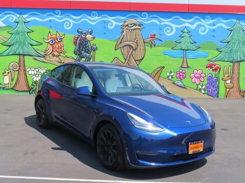 Used 2020 Tesla Model Y Long Range AWD/4WD image 1