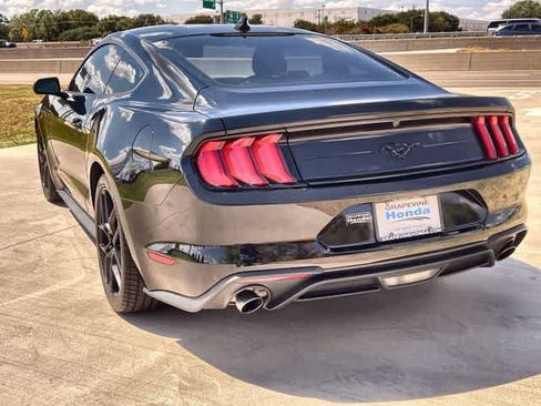 Used 2023 Ford Mustang Coupe w/ Equipment Group 101A RWD image 5