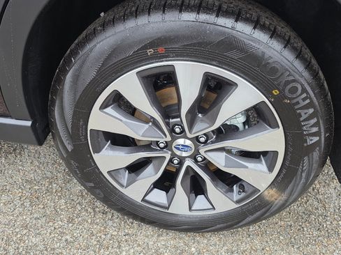 Used 2025 Subaru Outback Limited image 6