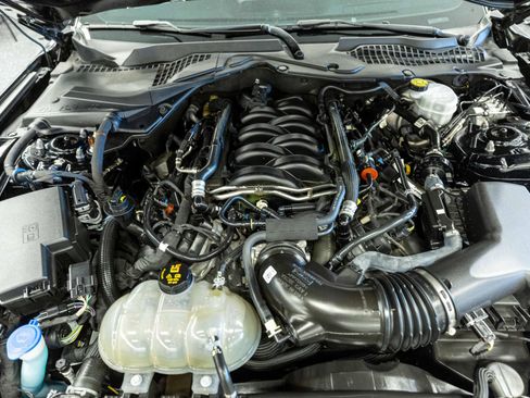 Used 2021 Ford Mustang GT w/ Equipment Group 301A RWD image 14