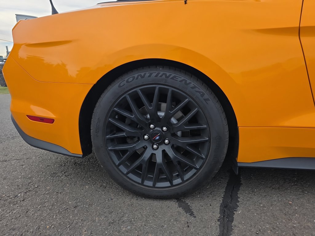 Used 2018 Ford Mustang GT Premium w/ Equipment Group 401A RWD image 12