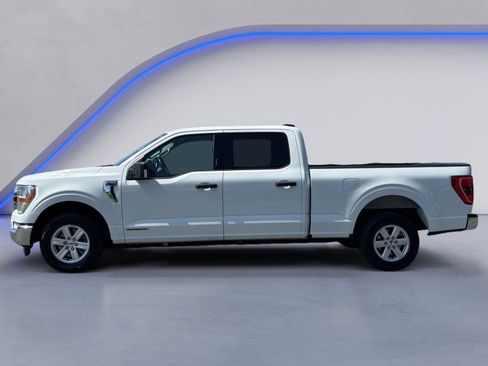 Used 2021 Ford F150 XLT w/ Equipment Group 301A Mid RWD image 7