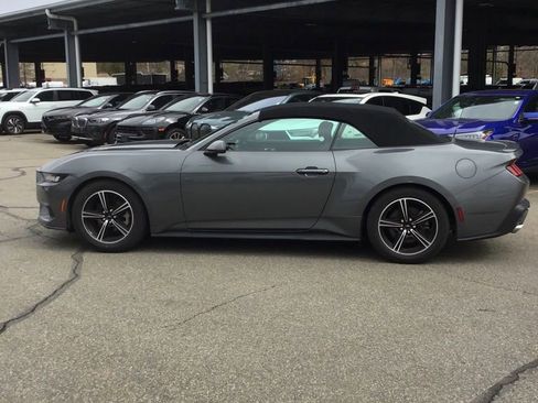 Used 2024 Ford Mustang Premium image 6