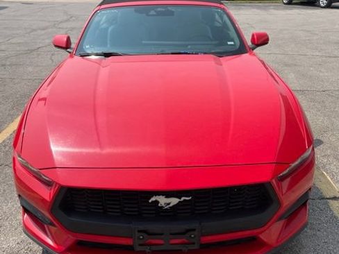 Used 2024 Ford Mustang Premium RWD image 3
