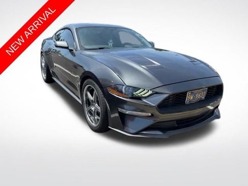 Used 2019 Ford Mustang Coupe w/ Equipment Group 101A RWD image 1