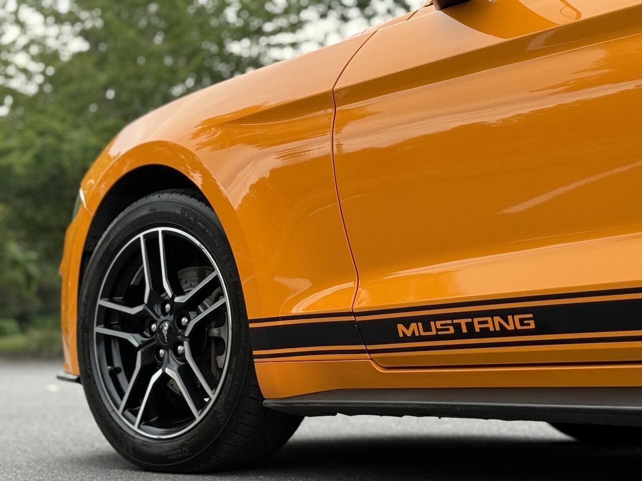 Used 2018 Ford Mustang Premium w/ Equipment Group 201A RWD image 17