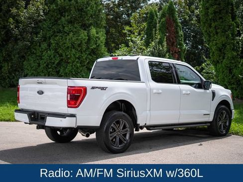 Used 2023 Ford F150 XLT w/ Equipment Group 302A High AWD/4WD image 5