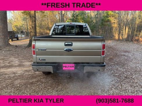 Used 2014 Ford F150 XLT w/ Equipment Group 302A Luxury image 11