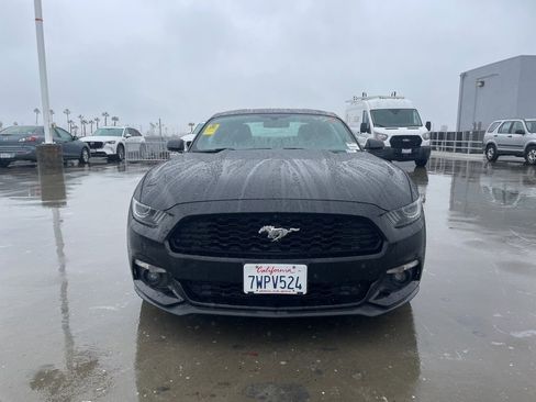 Used 2017 Ford Mustang Premium w/ Wheel & Stripe Package image 6