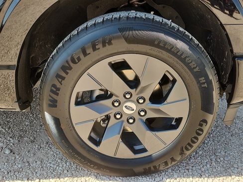 Used 2025 Ford F150 STX w/ Equipment Group 200A RWD image 7