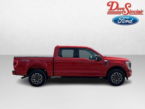 Used 2023 Ford F150 XLT w/ Equipment Group 302A High AWD/4WD image 5