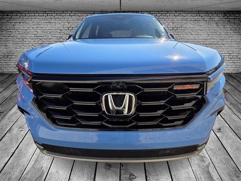 Used 2024 Honda Pilot TrailSport image 2