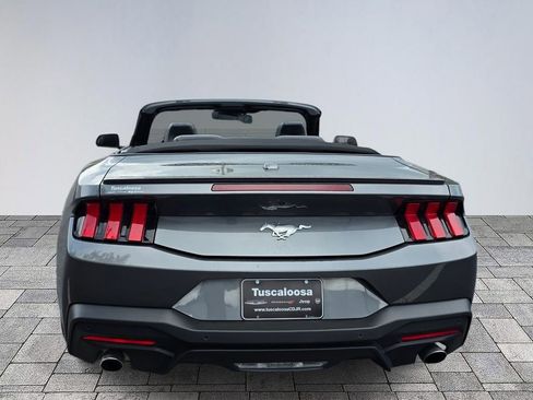 Used 2024 Ford Mustang Premium RWD image 6