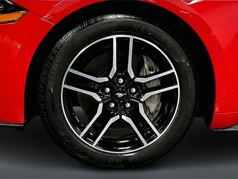 Used 2019 Ford Mustang GT w/ Equipment Group 301A image 30