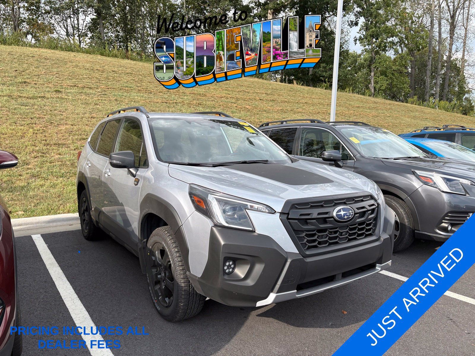 Certified 2024 Subaru Forester Wilderness AWD/4WD image 1