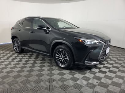 Used 2024 Lexus NX 350h AWD w/ Cold Area Package