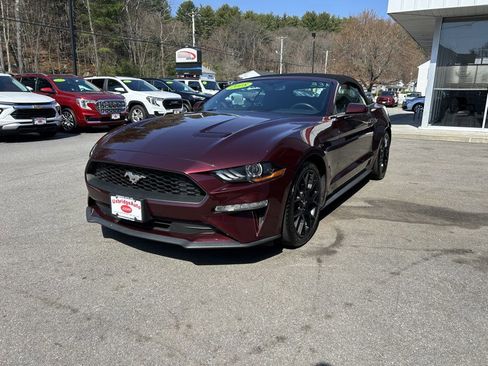 Used 2018 Ford Mustang Convertible w/ Ecoboost Performance Package image 5