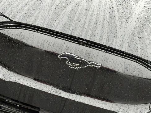 New 2026 Ford Mustang Mach-E Premium image 3