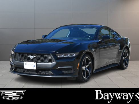 Used 2024 Ford Mustang Premium image 1