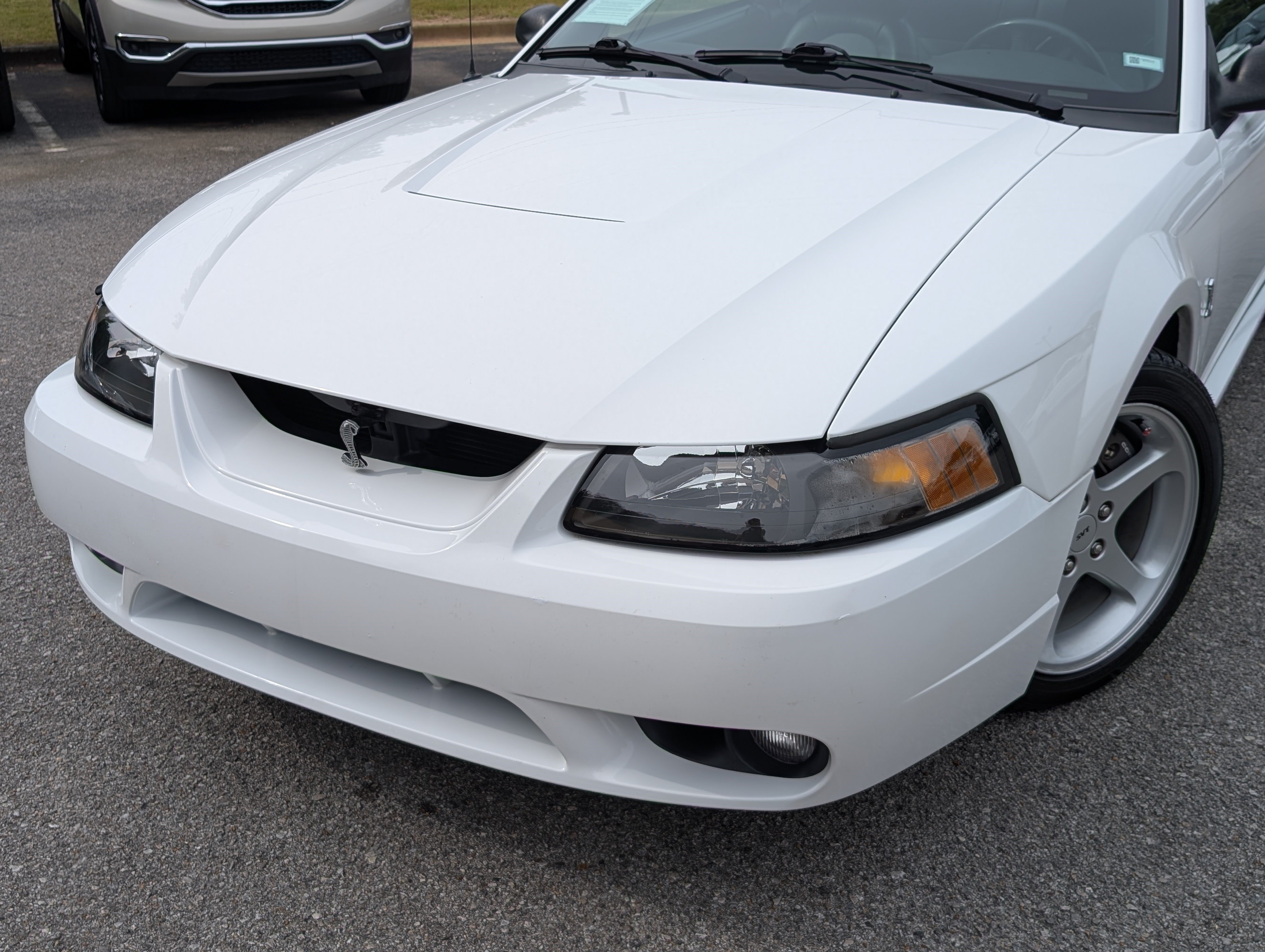 Used 2001 Ford Mustang Cobra RWD image 12