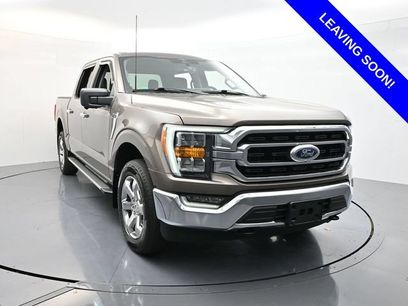 Used 2023 Ford F150 XLT w/ Equipment Group 302A High