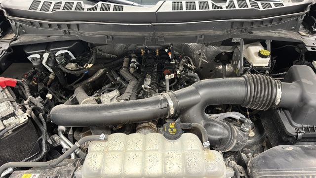 Used 2025 Ford F150 Tremor w/ Equipment Group 402A High AWD/4WD image 28