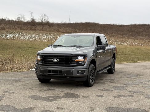 New 2026 Ford F150 XLT w/ XLT Black Appearance Package image 1