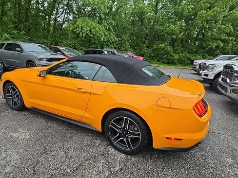 Used 2018 Ford Mustang Premium w/ Equipment Group 201A RWD image 4