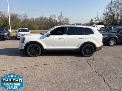 Used 2020 Kia Telluride SX w/ SX Prestige Package image 1