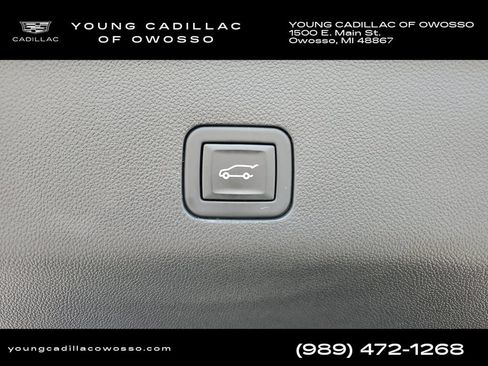 Used 2024 Cadillac Escalade Premium Luxury AWD/4WD image 34