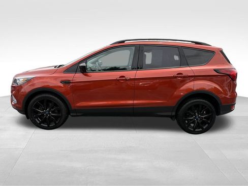 Used 2019 Ford Escape SE AWD/4WD image 11