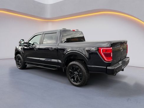 Used 2023 Ford F150 XL w/ STX Black Appearance Package image 5