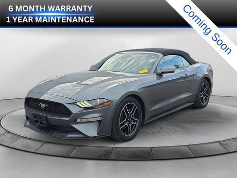 Used 2021 Ford Mustang Premium image 1