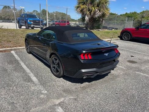 Used 2025 Ford Mustang Premium image 9
