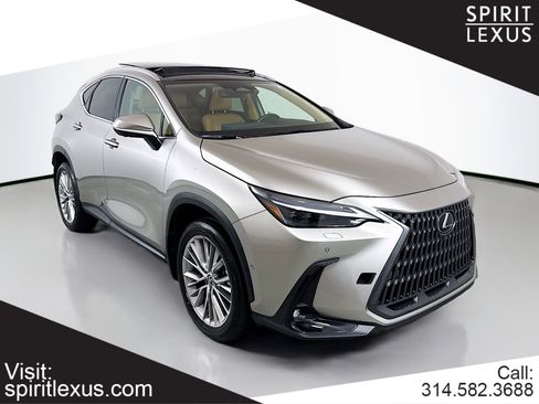 Used 2025 Lexus NX 350 AWD w/ Cold Area Package image 1